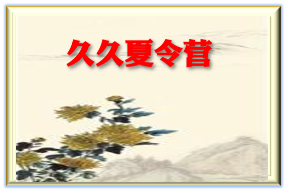 Booking.com | 缤客 返利