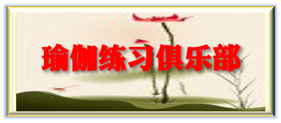Tenorshare CN 返利
